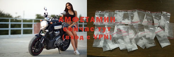 индика Беломорск