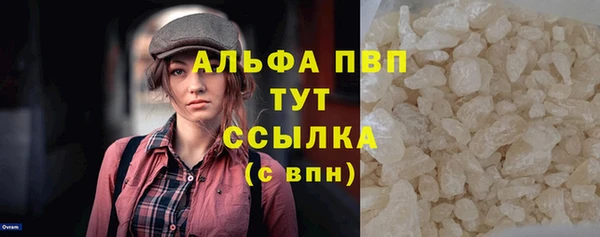 индика Беломорск