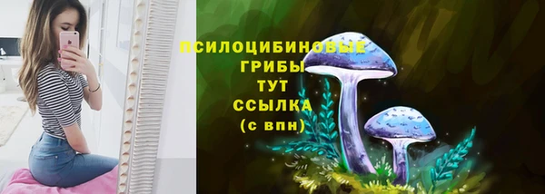 a pvp Белоозёрский
