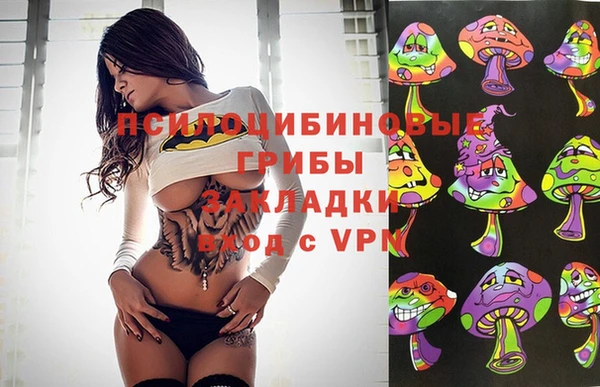 индика Беломорск