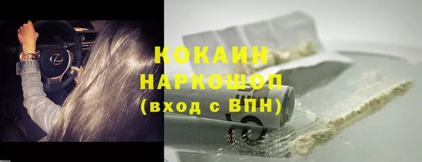 индика Беломорск