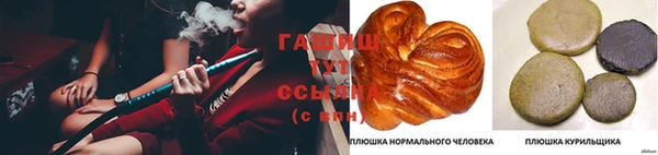 индика Беломорск