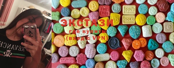 индика Беломорск