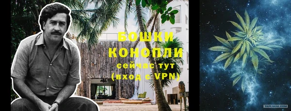 бошки Белокуриха