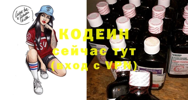 индика Беломорск