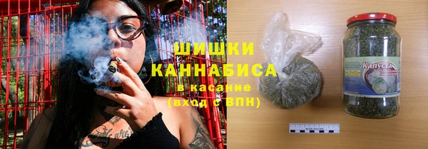 бошки Белокуриха
