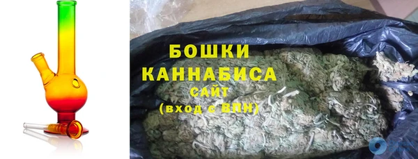 индика Беломорск