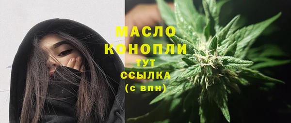 индика Беломорск
