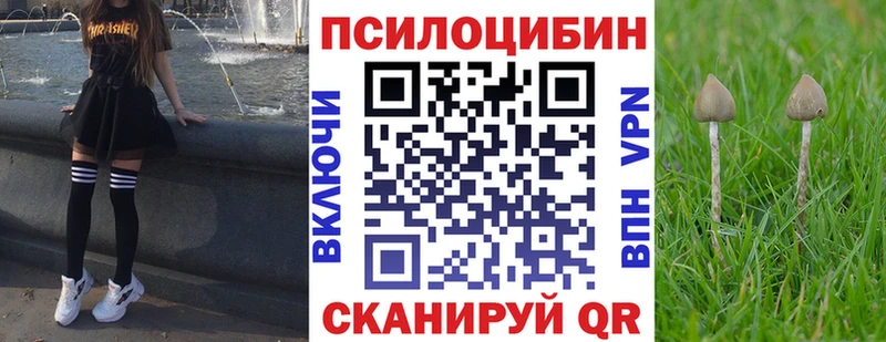 blacksprut зеркало  Чишмы  Псилоцибиновые грибы прущие грибы 